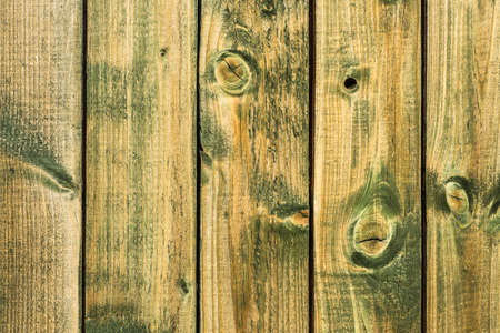 Wood background texture. Old wooden planks texture background.の写真素材