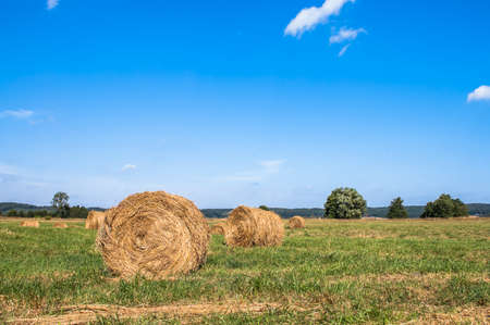 Landscape with straw bales on stubble field. Agricultural or rural landscape in summer photographed in Poland.の写真素材