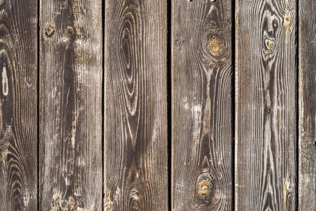 Wood texture background. Old wooden planks texture background.の写真素材