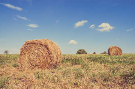 Vintage landscape showing straw bales on stubble field. Agricultural or rural landscape in summer photographed in Poland.の写真素材