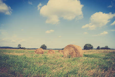 Vintage landscape showing straw bales on stubble field. Agricultural or rural landscape in summer photographed in Poland.の写真素材