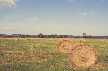 Vintage landscape showing straw bales on stubble field. Agricultural or rural landscape in summer photographed in Poland.の写真素材