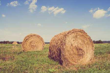 Vintage landscape showing straw bales on stubble field. Agricultural or rural landscape in summer photographed in Poland.の写真素材