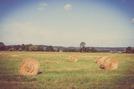 Vintage landscape showing straw bales on stubble field. Agricultural or rural landscape in summer photographed in Poland.の写真素材