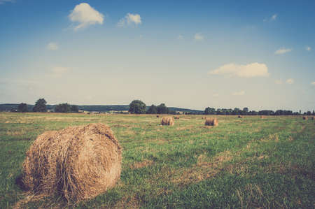 Vintage landscape showing straw bales on stubble field. Agricultural or rural landscape in summer photographed in Poland.の写真素材