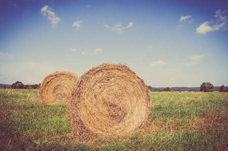 Vintage landscape showing straw bales on stubble field. Agricultural or rural landscape in summer photographed in Poland.の写真素材
