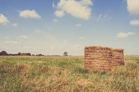 Vintage landscape showing straw bales on stubble field. Agricultural or rural landscape in summer photographed in Poland.の写真素材