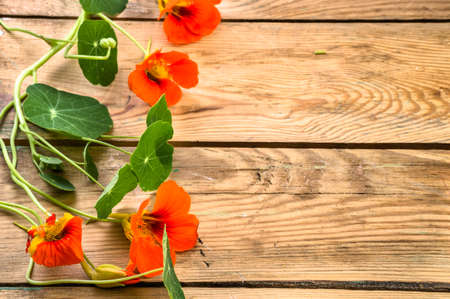 Flowers backgrounds vintage style with flowers of nasturtium arranged on brown wood useful as greeting card, mothers day card or invitations cardの写真素材