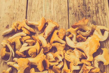 Close-up of chanterelles mushrooms from forest on a wooden planks background.の写真素材