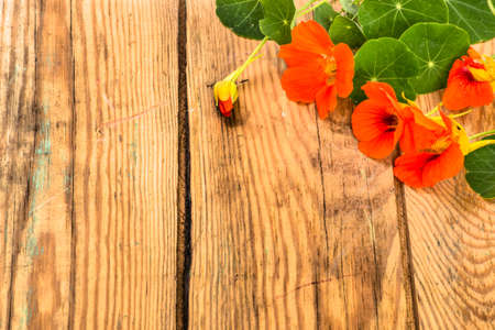 Vintage background with flowers of nasturtium isolated on brown wooden plank background useful as wallpaper, greeting card, mothers day, wedding invitations or invitations card.の写真素材