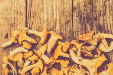 Chanterelles mushrooms from forest on a wood background.の写真素材