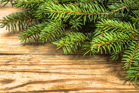 Christmas tree twigs of spruce arranged on rustic wood background useful as holiday background in vintage style.の写真素材