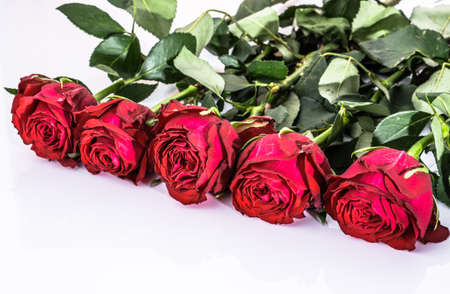 Flowers background with bouquet of red roses on white background useful as valentine card, greeting card, wedding invitation or anniversary card.の写真素材