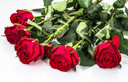 Flowers background with bouquet of red roses on white background useful as valentine card, greeting card, wedding invitation or anniversary card.の写真素材