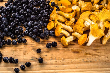 Background with forest fruits on wood. chanterelles mushrooms and blueberries arranged on vintage wood background, macro close-up.の写真素材