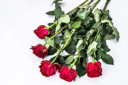 Flowers background with bouquet of red roses on white background useful as valentine card, greeting card, wedding invitation or anniversary card.の写真素材