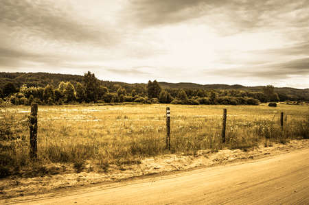Landscape stylized on vintage with rural scene fields and meadows at summer. Idyllic rural landscape and agricultural.の写真素材