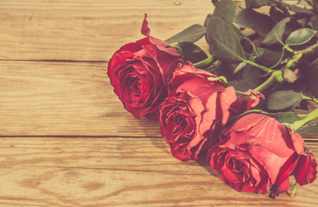 Flowers of roses in red color, stylized on vintage on wood background. Flowers backgrounds.の写真素材
