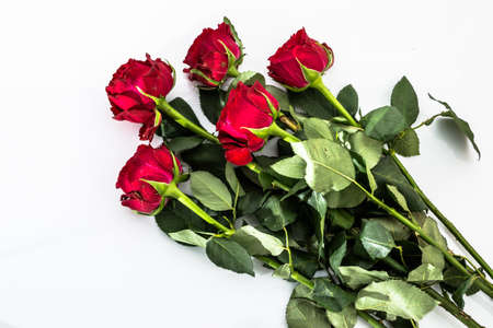 Flowers background with bouquet of red roses on white background useful as valentine card, greeting card, wedding invitation or anniversary card.の写真素材
