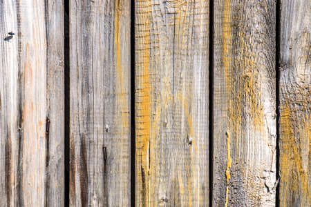 Wood texture background, yellow paintedの写真素材