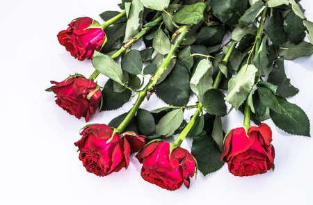 Red roses on wooden background useful as wedding card, valentine card or anniversary card, romantic...