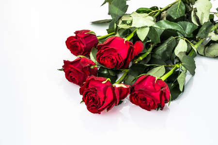Flowers background with bouquet of red roses on white background useful as valentine card, greeting card, wedding invitation or anniversary card.の写真素材