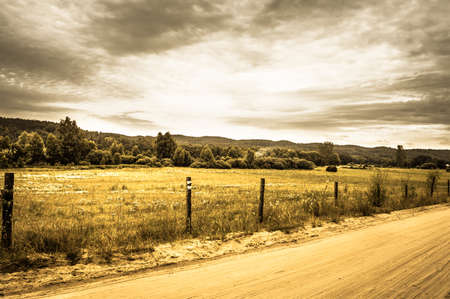 Landscape stylized on vintage with rural scene fields and meadows at summer. Idyllic rural landscape and agricultural.の写真素材