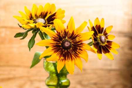 Rudbeckia flowers backgrounds. Summer flowers bouquet on wood background with shallow depth of field useful as greeting card or birthday card.の写真素材