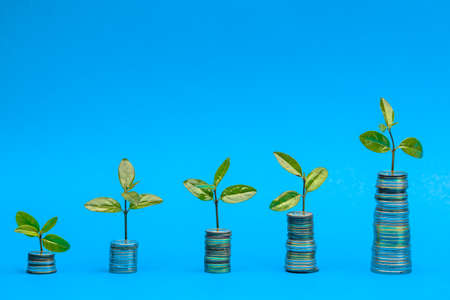 Plant on coins. Saving money. Growing money in stack. Financial growth, home budget, saving, business, currency, banking and economic strategy concept.の写真素材