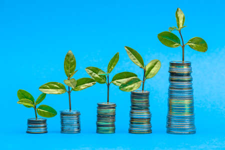 Plant on coins. Saving money concept. Growing money in stack. Financial growth, success, growing business, banking, finance and investment conceptの写真素材