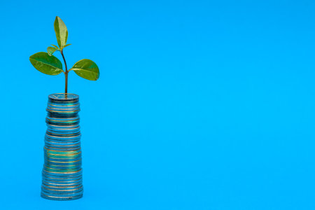 Plant on coins. Saving money. Growing money in stack. Financial growth, home budget, saving, business, currency, banking and economic strategy concept.の写真素材