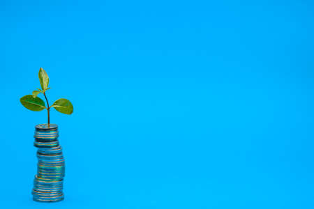 Plant on coins. Saving money. Growing money in stack. Financial growth, home budget, saving, business, currency, banking and economic strategy concept.の写真素材