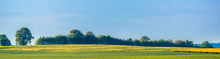 Countryside landscape. Farm field with grass and trees in spring rural scenery. Agricultural background, panoramic view.の写真素材