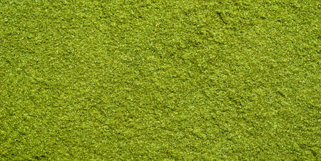 Background texture of green tea matcha powderの写真素材