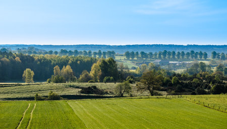 Countryside panorama with farm field and green grassの写真素材