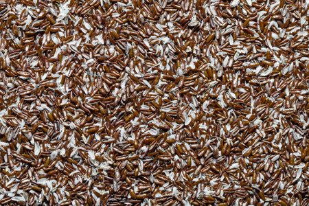 food background. Fiber of seeds of Psyllium plantain and plantago ovata.の写真素材
