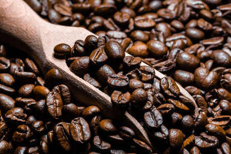 Freshly roasted coffee beans in scoop. Grained coffee background.の写真素材