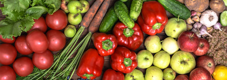 Bio organic vegetable and fruit on farmer market. Food background with assortment of fresh organic fruit and vegetables.の写真素材