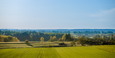 Countryside panorama with grass field, trees and forest in Polandの写真素材