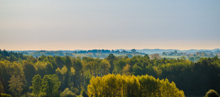 Autumn forest, panoramic view from the hillの写真素材