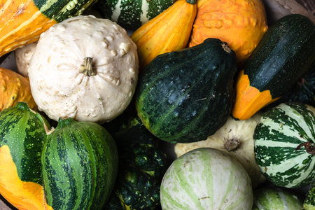 Colorful decorative pumpkins background. Autumn harvest.の写真素材