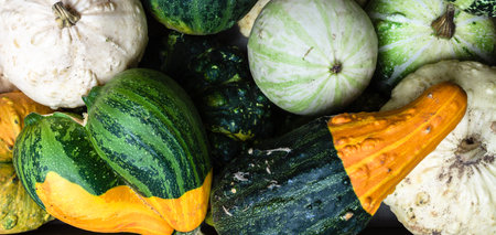 Colorful background with pumpkins. Autumn Thanksgiving banner.の写真素材