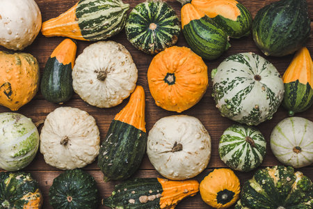 Fresh pumpkins background. Farmer market with decorative vegetables. Autumn harvest and Thanksgiving concept.の写真素材