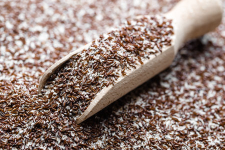 Food background. Fiber of seeds of Psyllium plantain and plantago ovata.の写真素材