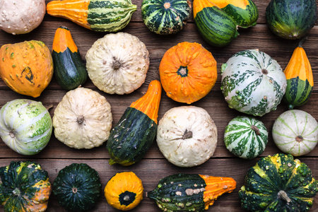 Colorful background of gourds and orange pumpkinsの写真素材