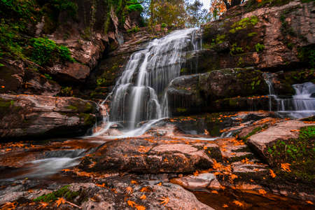 Autumn colors with waterfall and leaves