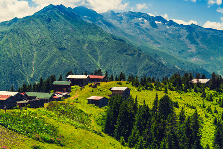 Rize karadeniz sal and pokut plateau in Turkeyの写真素材