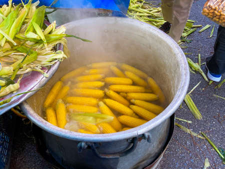 Fresh and boiled corns sale in the marketの写真素材