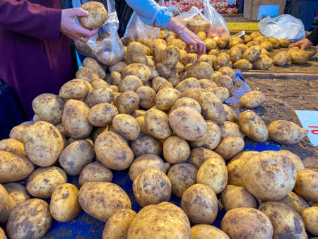 Fresh local potato sales on the market in Turkeyの写真素材
