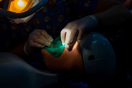 Dental treatment training with model human heads for students of the faculty of dentistryの写真素材